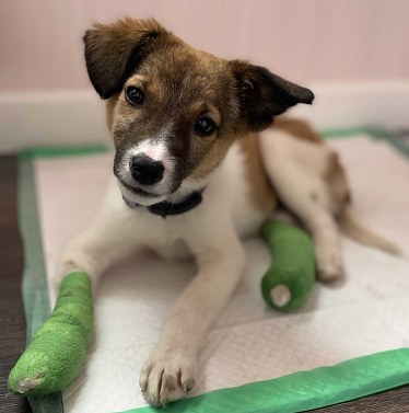 IMG 20220328 WA0002 2