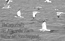 Artikel Dr. Rasin DAR 4 2013 neu1