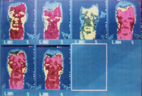 Thermo Video Aufnahmen 1009 2